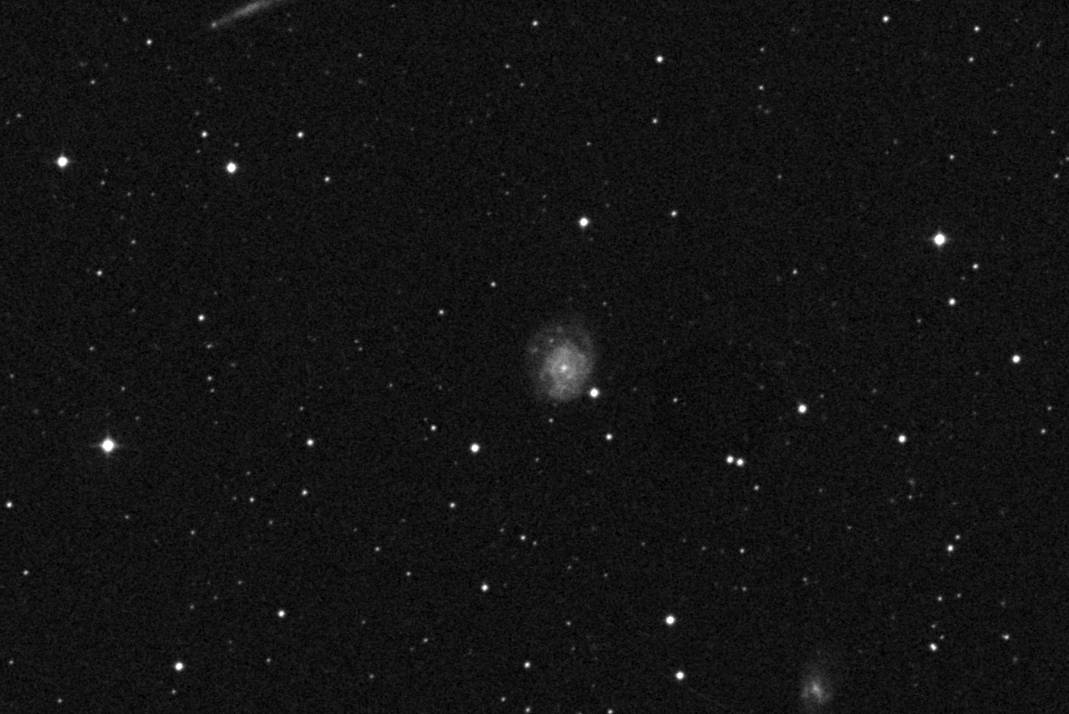 Finder chart for Supernova 2024ws in NGC 2550A